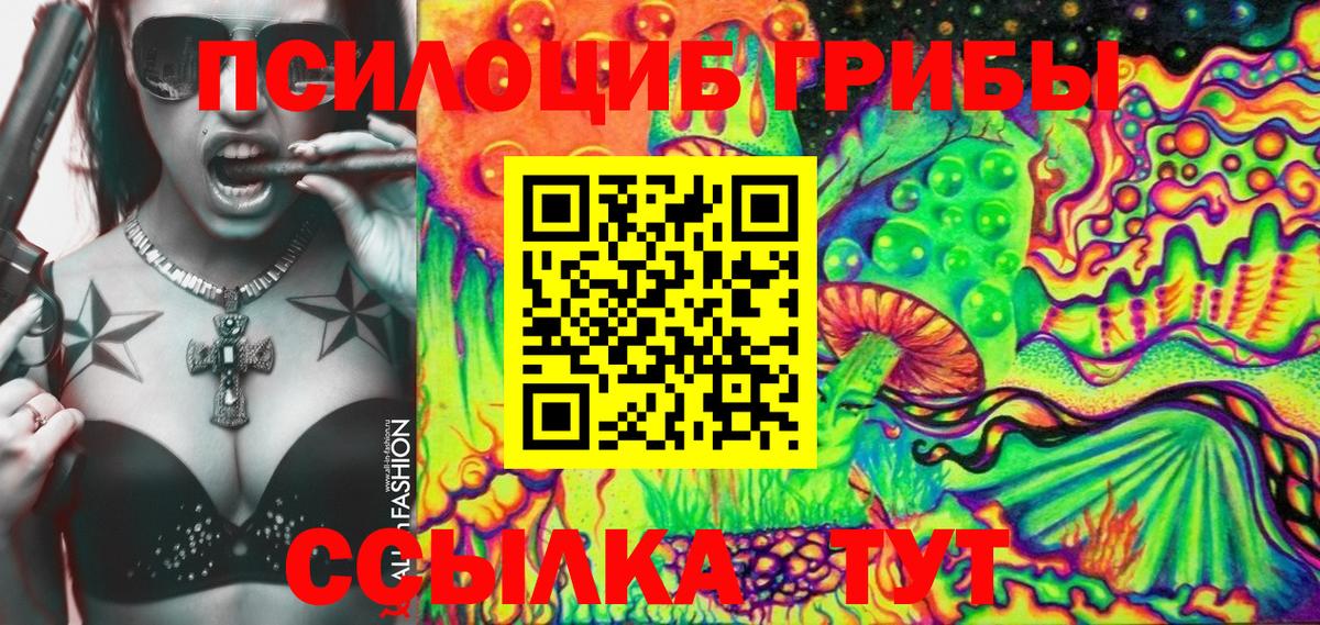 Псилоцибиновые грибы Psilocybe Лабинск