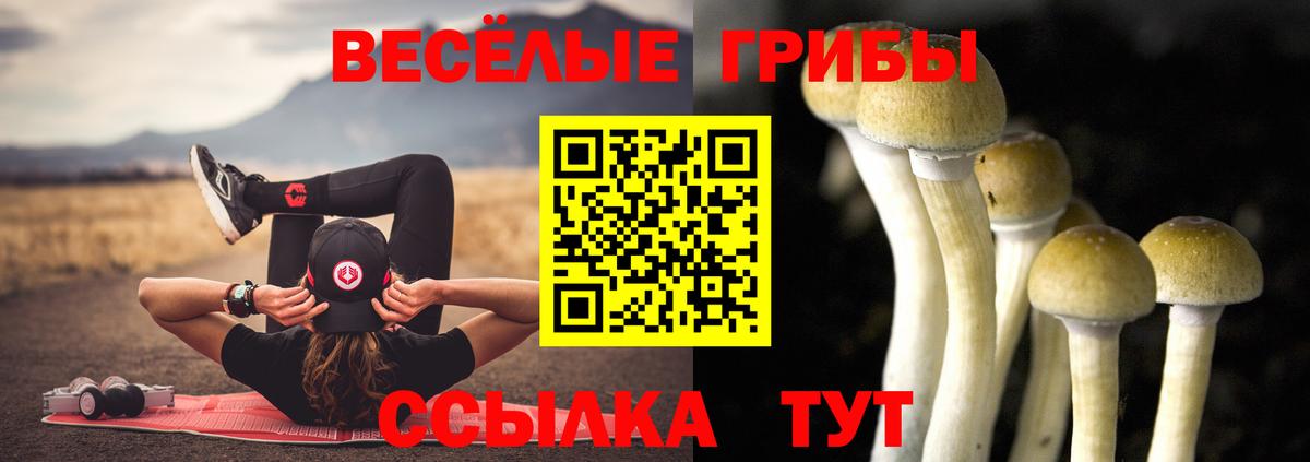Псилоцибиновые грибы Magic Shrooms  Галлюциногенные грибы прущие грибы  Вход с VPN  Лабинск 